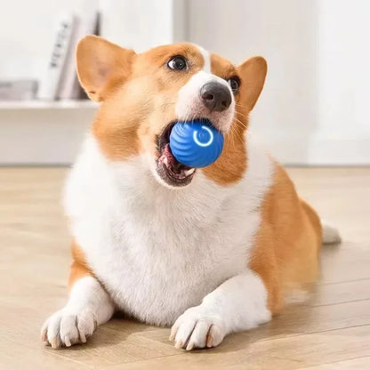 Blue intelligent gravity jump ball for dogs, interactive rolling pet toy