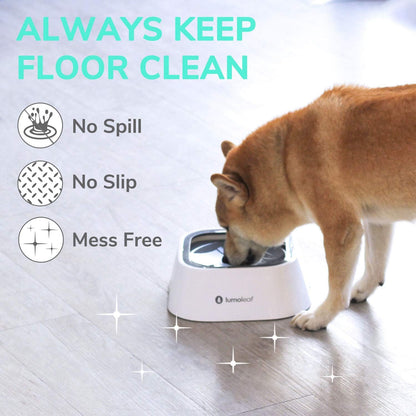 Perro bebiendo agua de un No Spill Dog Water Bowl, evitando derrames y manteniendo el suelo limpio.
