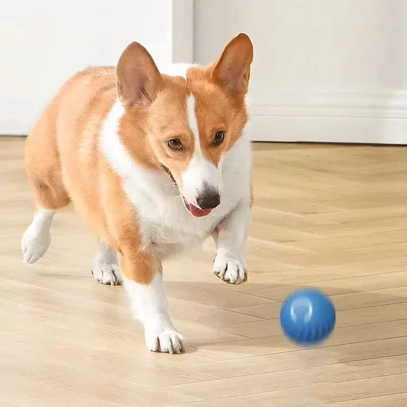 Blue intelligent gravity jump ball for dogs, interactive rolling pet toy