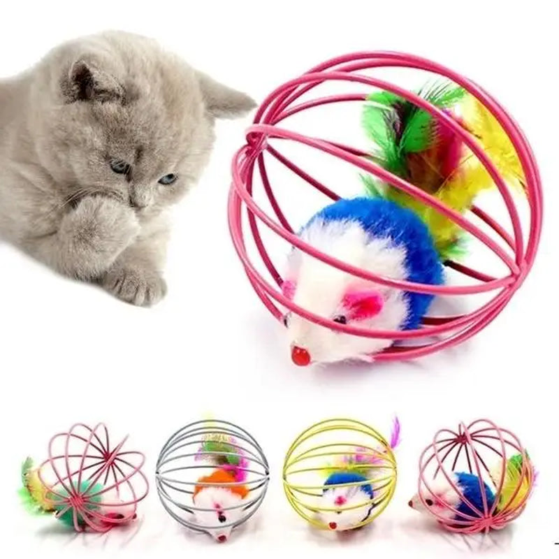 Dog batting caged mouse cat toy across the floor