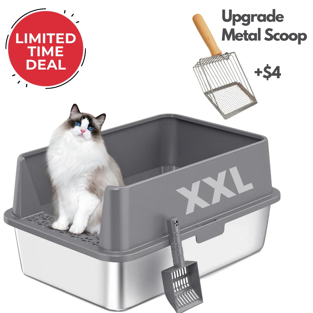 Easy-clean stainless steel cat litter box with low entry