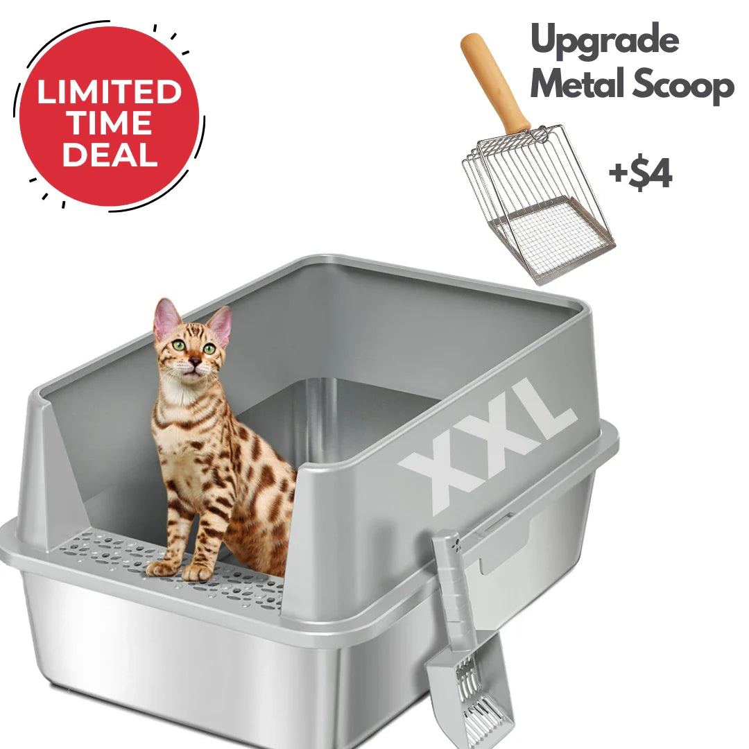Easy-clean stainless steel cat litter box with low entry