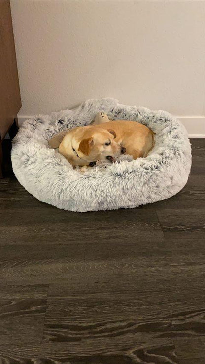 Machine washable Orthopedic Pet Bed