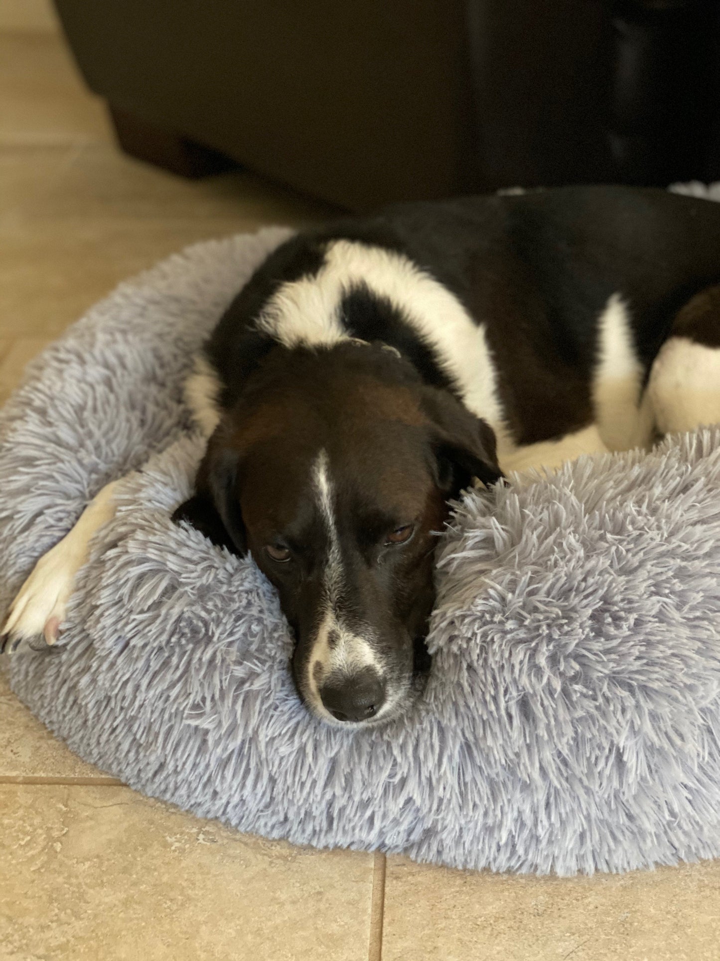 Orthopedic Pet Bed with plush cushioning and soft support
