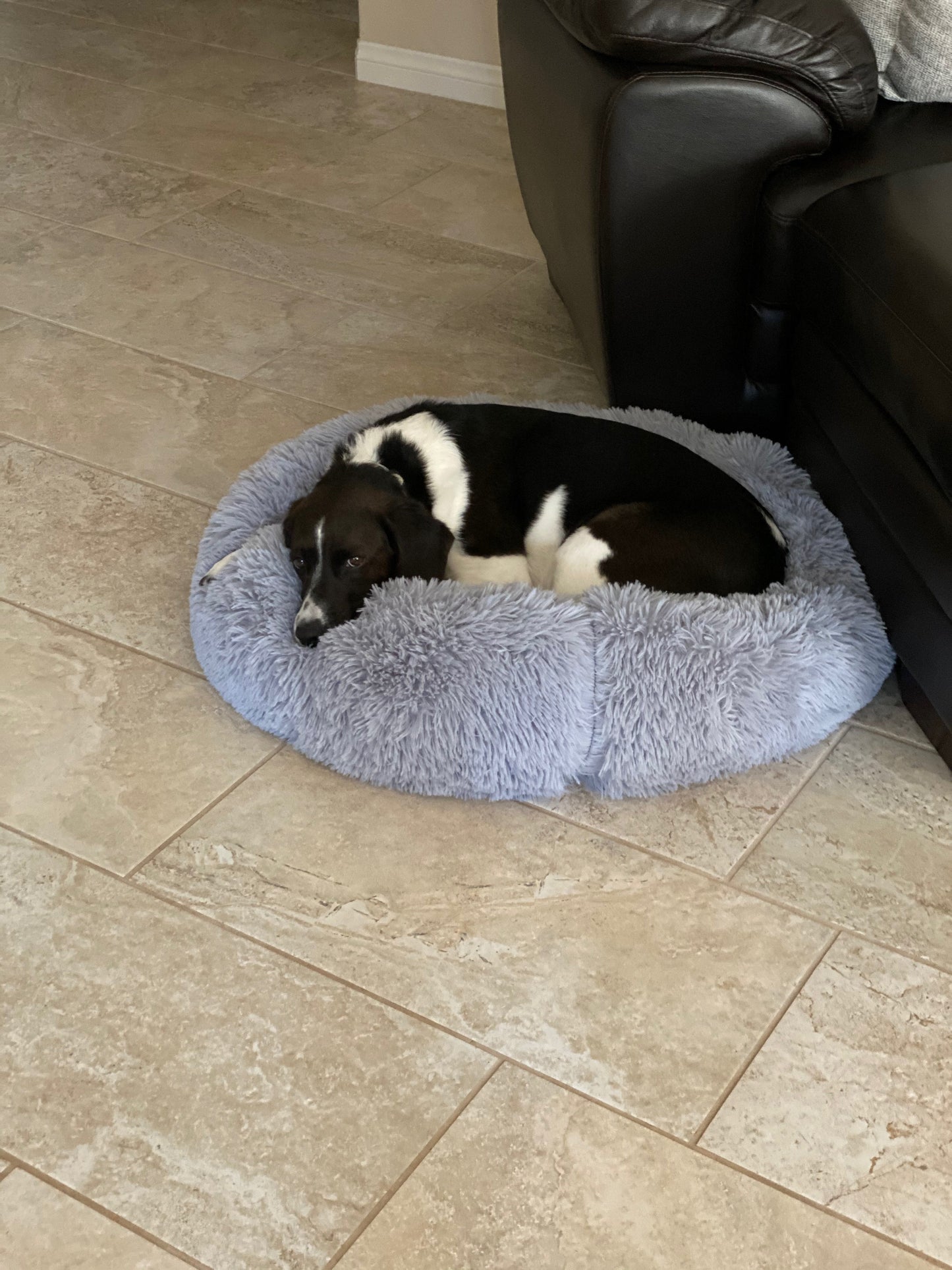 Orthopedic Pet Bed with non-slip base and plush interior