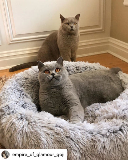 Orthopedic Pet Bed with non-slip base and plush interior