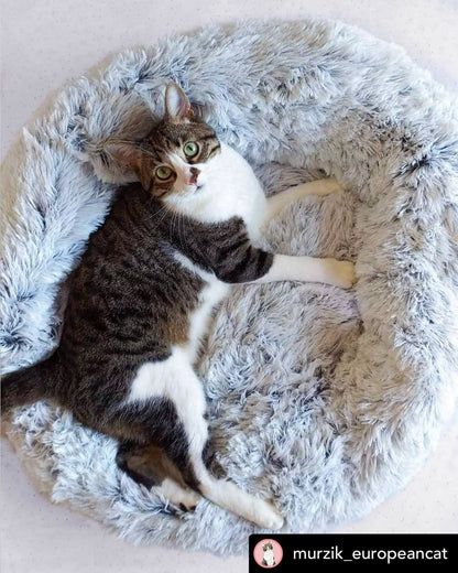 Orthopedic Pet Bed with non-slip base and plush interior