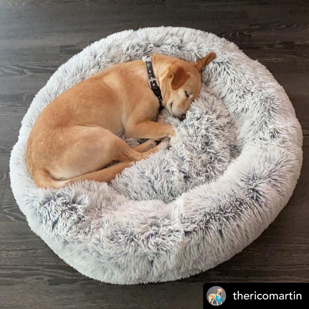 Orthopedic Pet Bed with plush cushioning and soft support