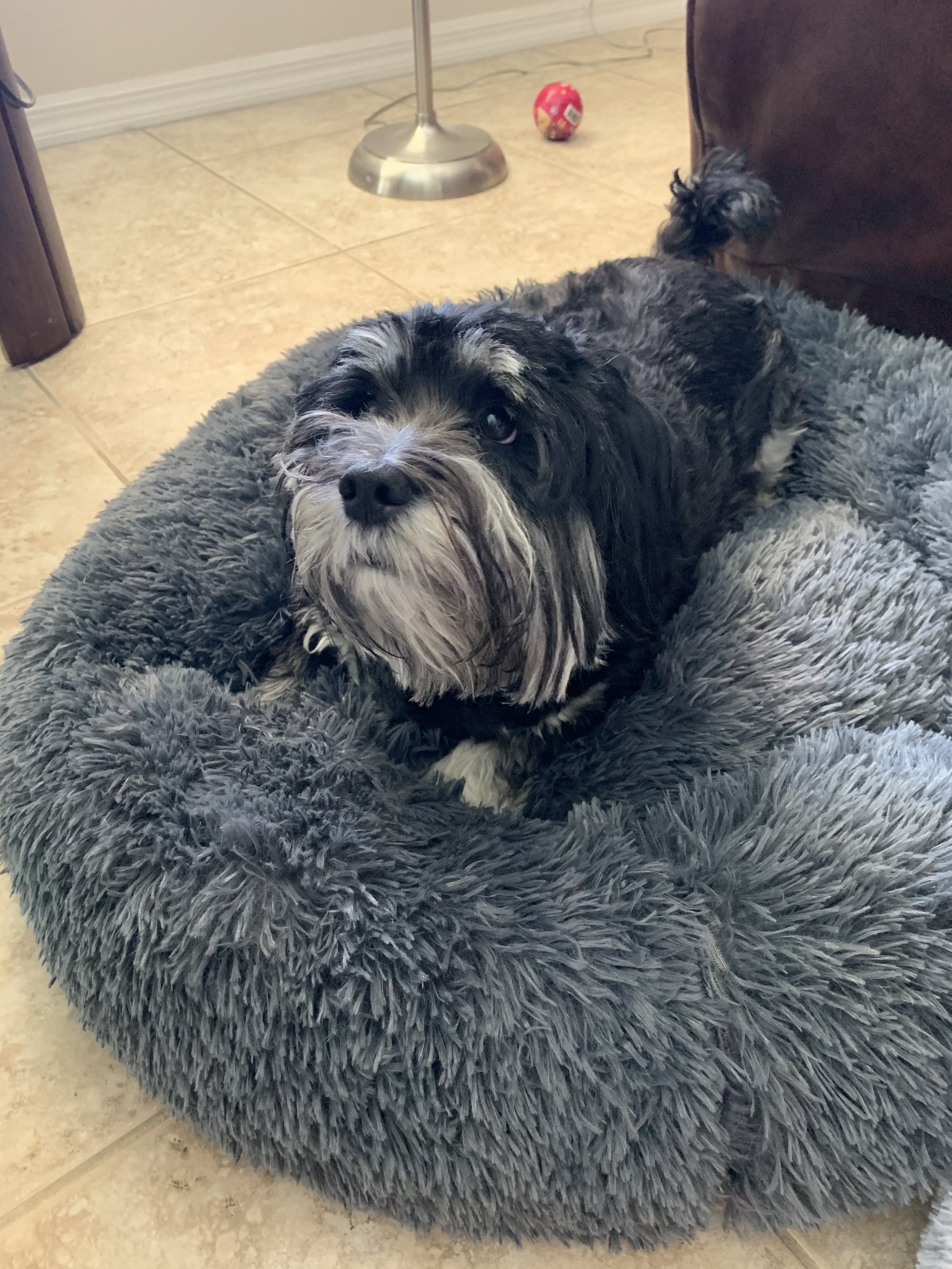 Soft Orthopedic Pet Bed for restful sleep