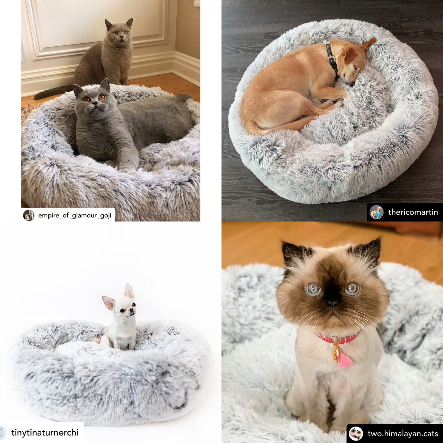 Orthopedic Pet Bed with non-slip base