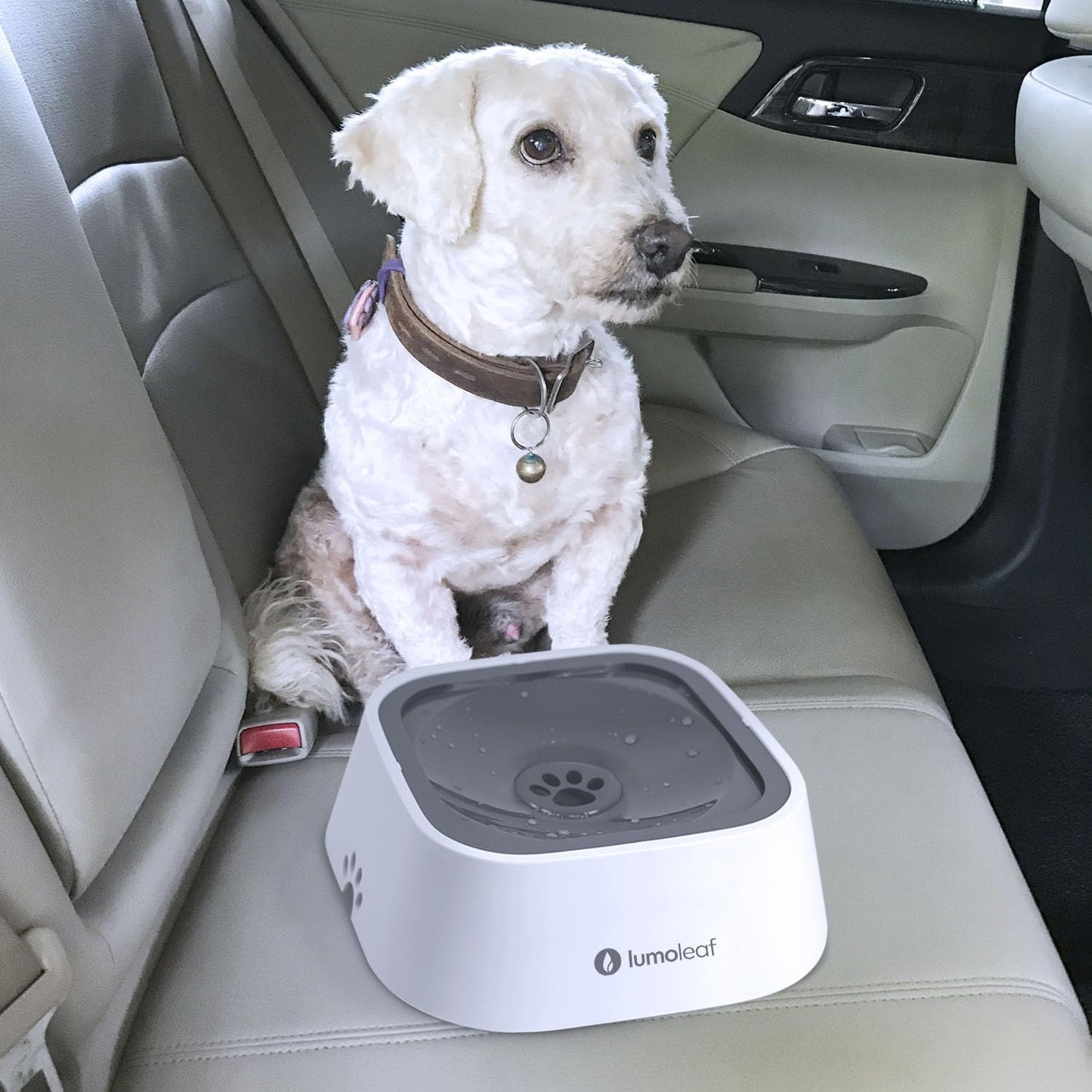 No Spill Dog Water Bowl con diseño a prueba de salpicaduras y capacidad de 35 oz, ideal para el hogar y viajes.