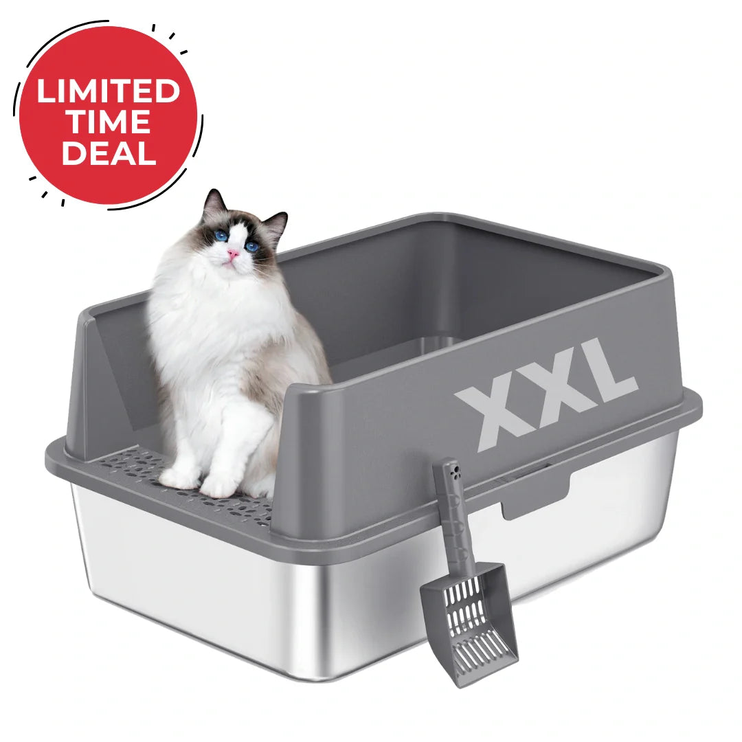 Easy-clean stainless steel cat litter box with low entry