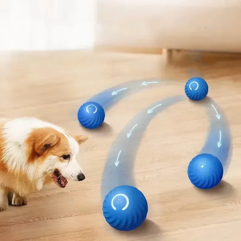 Blue intelligent gravity jump ball for dogs, interactive rolling pet toy