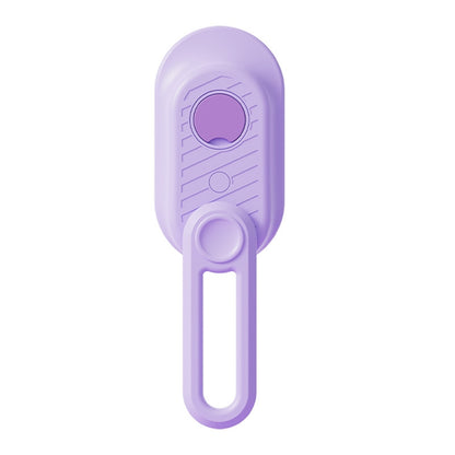 Electric steam pet brush with built-in water reservoir