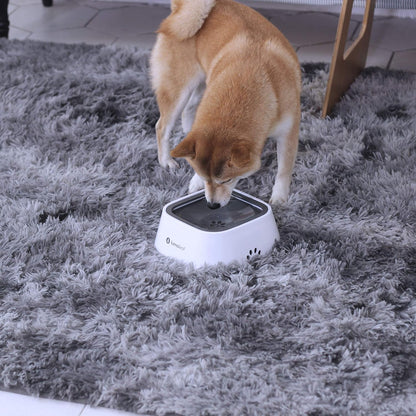 No Spill Dog Water Bowl with floating disk