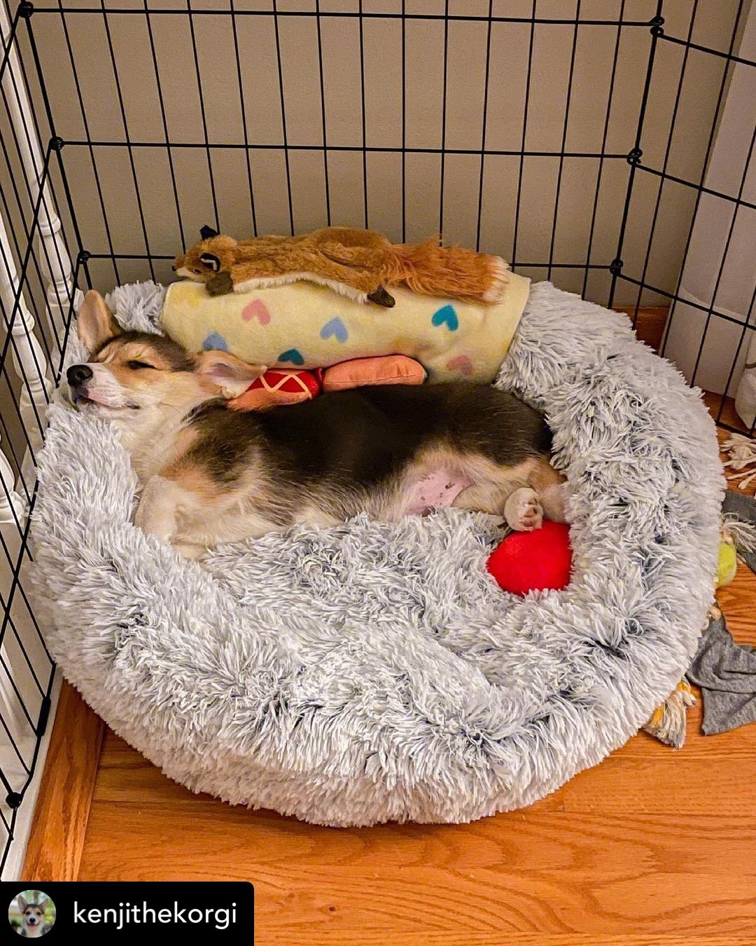 Orthopedic Pet Bed with non-slip base